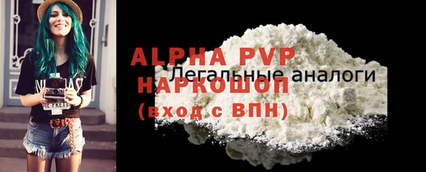 PSILOCYBIN Зеленодольск