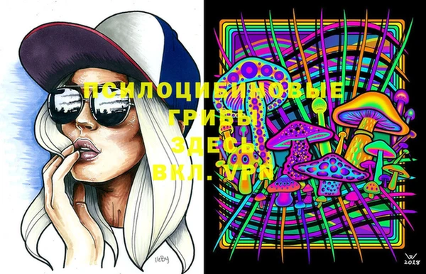 PSILOCYBIN Зеленодольск