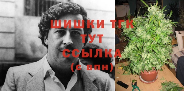 PSILOCYBIN Зеленодольск