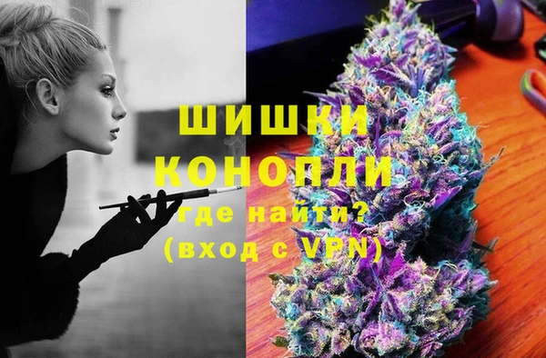 PSILOCYBIN Зеленодольск