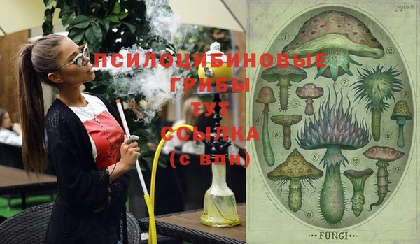 PSILOCYBIN Зеленодольск